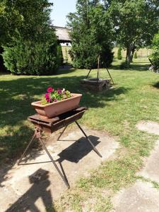 Vrt ispred objekta Rába Part Apartman