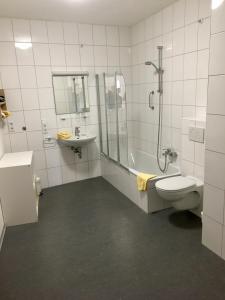 a bathroom with a toilet, sink, and shower at Gasthof Bären in Ochsenfurt