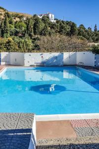 a large blue swimming pool with a dog in the water at Sariza Spring Hotel in Andros