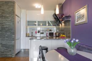 Kuchyňa alebo kuchynka v ubytovaní Apartman "Bubi"