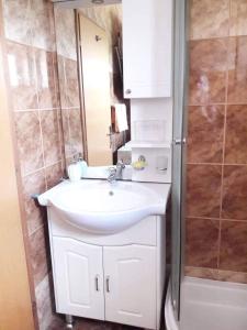 a bathroom with a white sink and a shower at Apartments Nevistic in Tribalj
