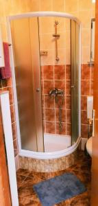 a shower with a glass door in a bathroom at Apartments Nevistic in Tribalj