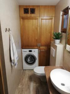 a bathroom with a toilet and a washing machine at Domek Moczykija in Szypliszki