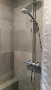 a shower with a shower head in a bathroom at Fiquet de Normanville pour votre bien être en plein coeur historique in Rouen +25 photos