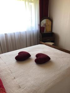twee bordeauxrode kussens op een bed in een slaapkamer bij Gratarre 2 in Kuressaare
