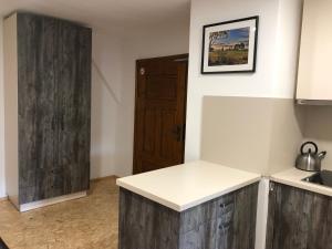 uma cozinha com uma porta de madeira e uma bancada em Chata Obzor em Železná Ruda