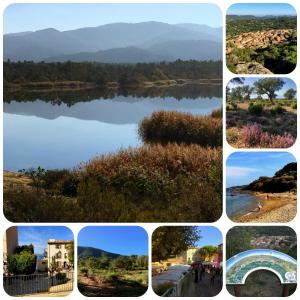 a collage of photos of a lake at The Nut House in La Garde-Freinet