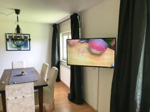 Μια τηλεόραση ή/και κέντρο ψυχαγωγίας στο Ferienwohnung Hesselbach
