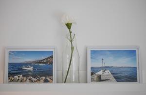 Fotografie z fotogalerie ubytování Apartman Luka v destinaci Sveti Juraj