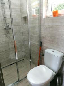 uma casa de banho com um WC e um chuveiro em Bieszczadzki Orzeł em Berezka