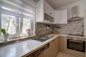 Kuchyň nebo kuchyňský kout v ubytování Apartman Luka