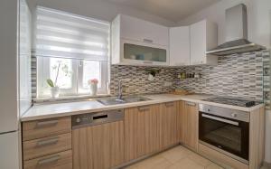 Kuchyň nebo kuchyňský kout v ubytování Apartman Luka