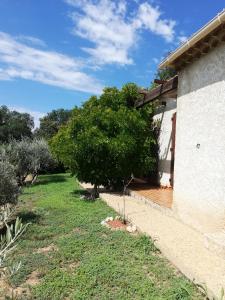 una casa con un albero accanto a un cortile di Villa Kyrae a Oraison