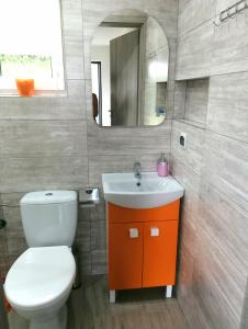 a bathroom with a toilet and a sink and a mirror at Bieszczadzki Orzeł in Berezka +13 photos