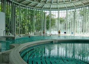 a swimming pool in a building with a glass ceiling at Le studio de Spa in Spa