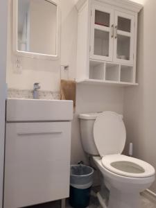a white toilet sitting next to a sink in a bathroom at Les Appartements de La Bergeronnette in Grandes-Bergeronnes