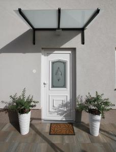 two potted plants in front of a white door at Apartments Klaudija in Čižići