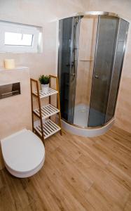 a bathroom with a toilet and a shower at Ustecka Osada - Ustka (Przewłoka) in Ustka