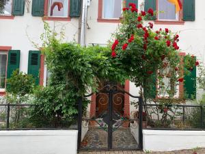 ein Tor mit roten Blumen vor einem Haus in der Unterkunft Count von Hatzfeld mit Moselblick in Kinheim