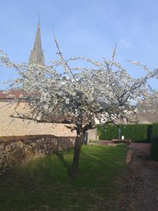 uma árvore com flores brancas em frente a um edifício em No 5 em Moutiers-sous-Argenton