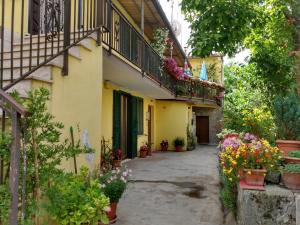 a courtyard of a house with flowers and plants at Giallo Sole in Colleferro
