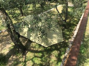 Zahrada ubytování Agricampeggio Paradiso