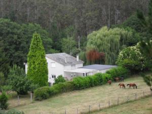 a white house with horses grazing in a field at Finca El Remanso in Mondoñedo