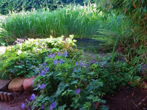 einen Garten mit lila Blumen und Pflanzen in der Unterkunft Ferienwohnung Elbe Diek in Stelle