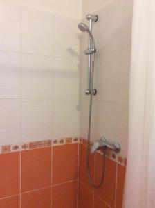 y baño con ducha con cabezal de ducha. en gemuetliche unterkunft bei prag en Smečno