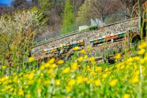 Zahrada ubytování Agriturismo Luloc