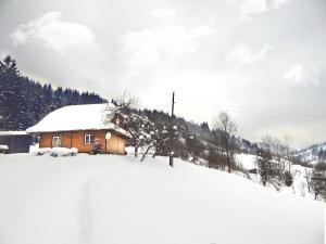 Cottage Svitanok žiemą