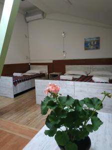 Istumisnurk majutusasutuses Hostel Portal
