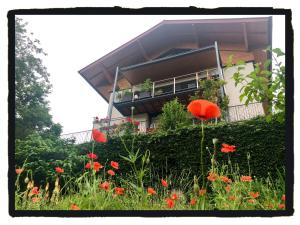 A garden outside Wolfgangsee Appartment