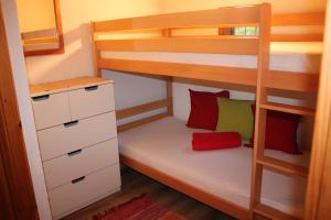 デーブリアッハにあるMichi's Hütt'nの二段ベッドが備わるドミトリールームのベッド1台分です。