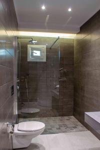 a bathroom with a glass shower and a toilet at Milonas House Apartments in Paralia Dionysiou