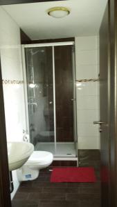a bathroom with a shower and a toilet and a sink at Hotel La Terrazza in Wetzlar