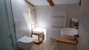 a bathroom with a white toilet and a sink at Hiša Kala in Kobarid +28 photos