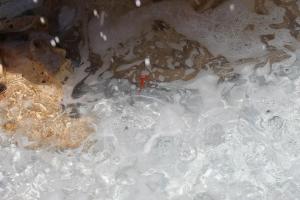 einen Pool mit Eis und Steinen in der Unterkunft Green Garden in Pompei
