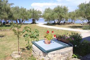 Gallery image of Apartments Bubica in Luka