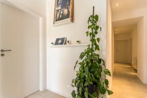 Fotografie z fotogalerie ubytování Pansion Casa v destinaci Podstrana