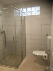 a bathroom with a toilet and a glass shower at Anamarija's Apartments in Korčula