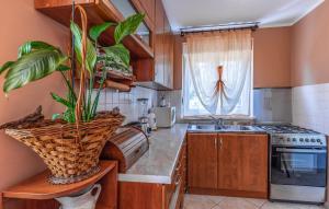 Una cocina o cocineta en Apartment Meri