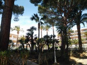 a group of palm trees in front of a building at Open Residence Golfe Juan in Vallauris