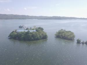 un'isola in mezzo a un grande corpo d'acqua di Enchanted River Rock Island Resort a Hinatuan Altre 3 foto