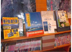 une étagère remplie de livres dans l'établissement Yakushima Park Guesthouse, à Yakushima