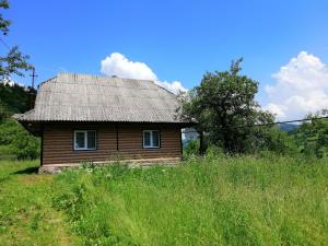 una pequeña casa de madera con techo en un campo en Cottage Svitanok, en Lopushnoye