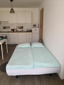 Postel nebo postele na pokoji v ubytování Green Garden Plus Apartman