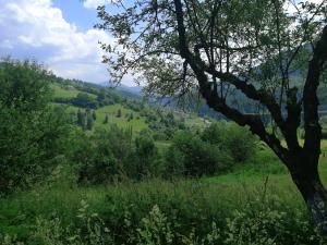 Billede fra billedgalleriet på Cottage Svitanok i Lopushnoye