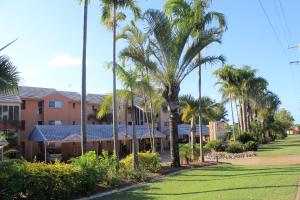 a row of palm trees in front of a house at Rainbow Sands Resort in Rainbow Beach +2 photos