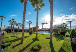 park z palmami i basenem w obiekcie APARTAMENTO "CARMEN" Zeniamar w mieście Orihuela